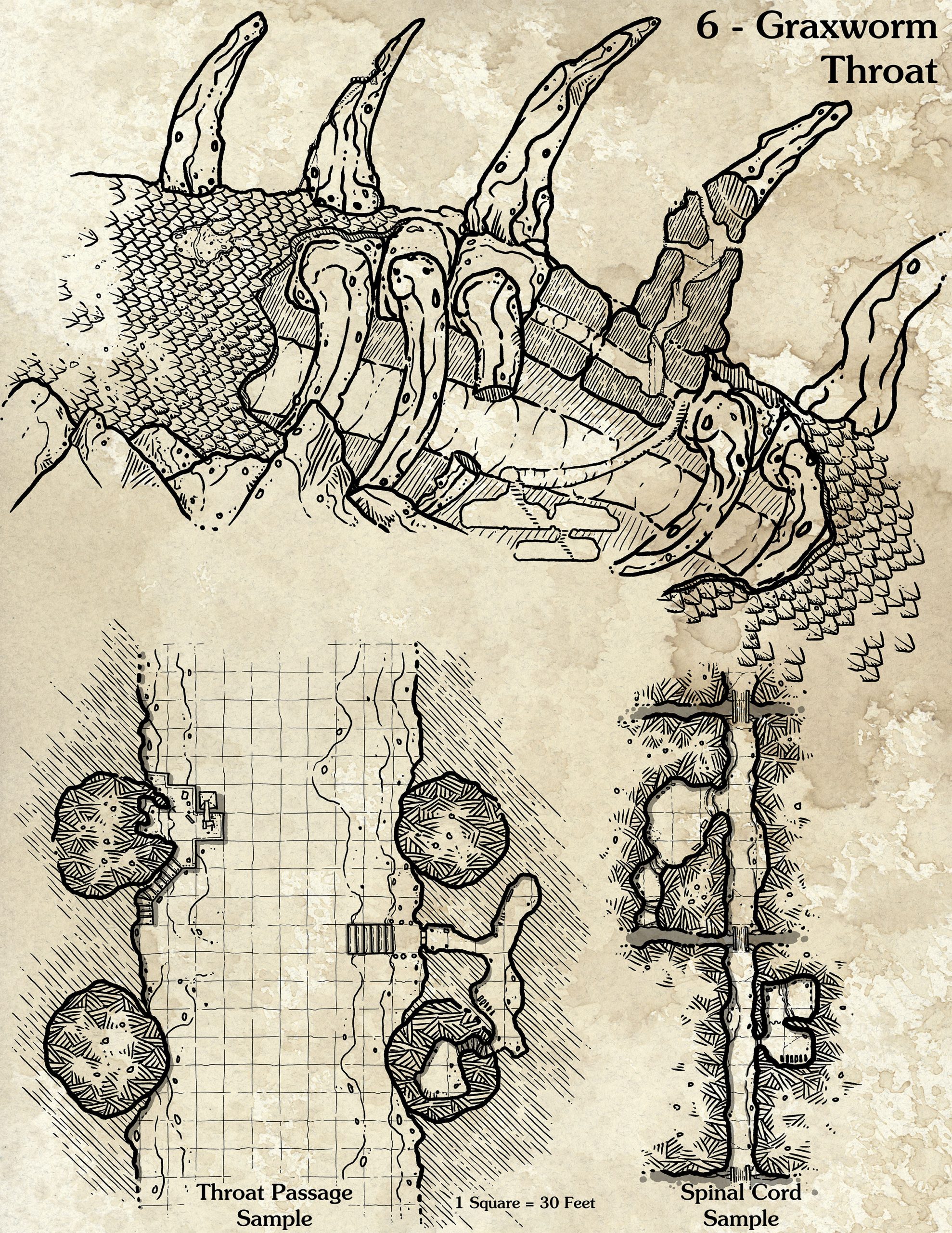 Graxworm – Map 6 – Throat Region Overview