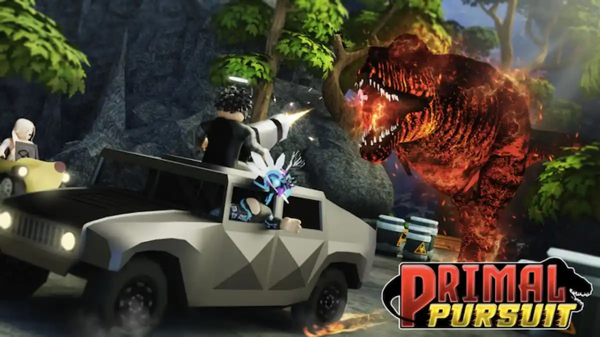 Primal Pursuit Codes (June 2024)